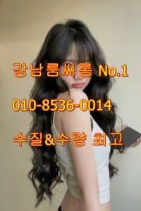 역삼동유흥